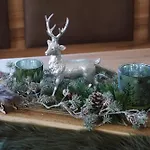 Waldzeit 度假居 Zachenberg