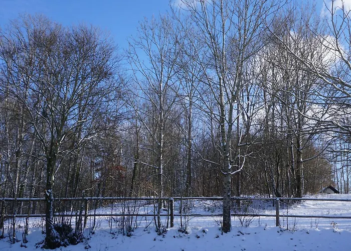 Tatil Evi Waldzeit *